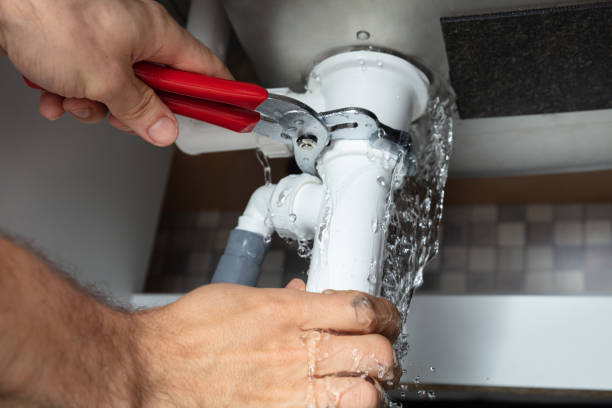 Best Carpet water damage restoration  in Morrisonvle, IL