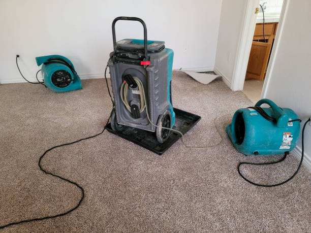 Best Mold removal after water damage  in Morrisonvle, IL