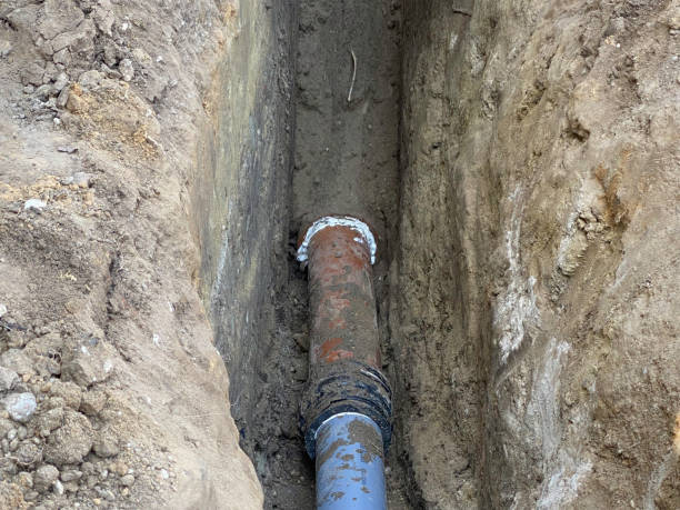 Best Basement water damage restoration  in Morrisonvle, IL