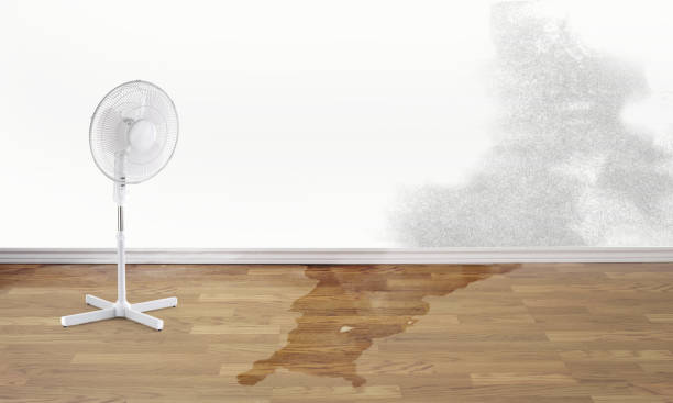 Fire Damage Restoration in Morrisonville, IL