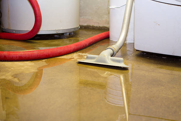 Best Ceiling water damage repair  in Morrisonvle, IL