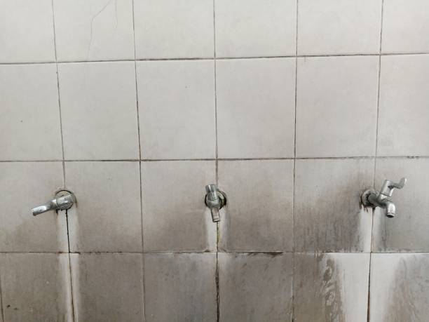 Best Water damage restoration process  in Morrisonvle, IL