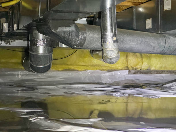 Best Water damage cleanup near me  in Morrisonvle, IL