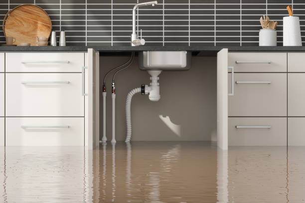 Best Commercial water damage restoration  in Morrisonvle, IL