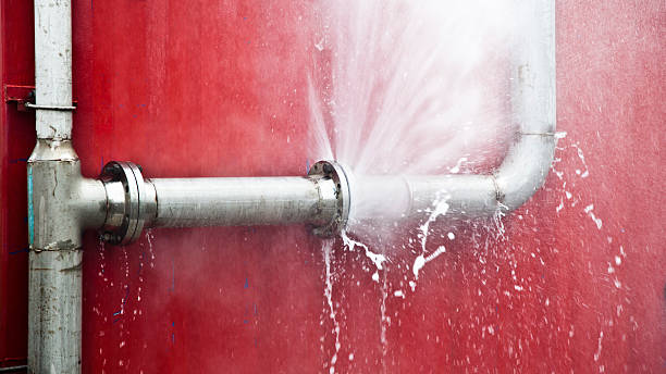 Best Emergency water damage restoration  in Morrisonvle, IL