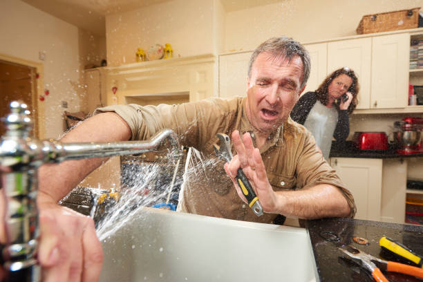 Best Sewage cleanup and water damage restoration  in Morrisonvle, IL